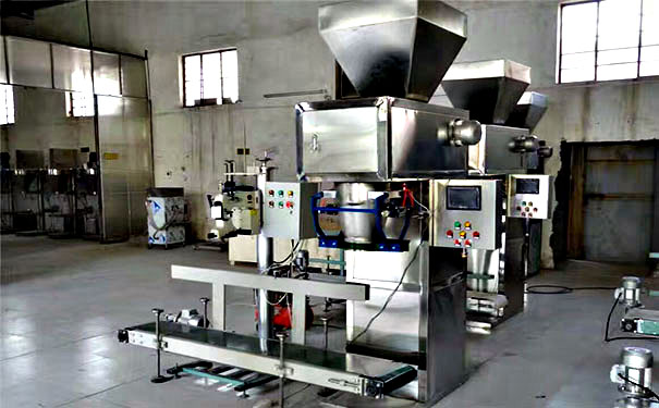 自動(dòng)定量包裝秤 自動(dòng)定量包裝秤